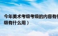 今年美术考级考级的内容有什么?（2024年06月14日美术考级有什么用）