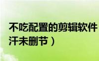 不吃配置的剪辑软件（2024年06月14日天可汗未删节）