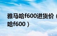 雅马哈f600进货价（2024年06月15日雅马哈f600）