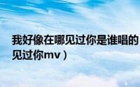 我好像在哪见过你是谁唱的（2024年06月15日我好像在哪见过你mv）