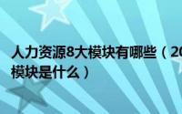 人力资源8大模块有哪些（2024年06月15日人力资源的八大模块是什么）