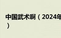 中国武术啊（2024年06月15日中国武术介绍）