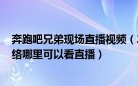 奔跑吧兄弟现场直播视频（2024年06月17日奔跑吧兄弟网络哪里可以看直播）