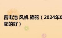 蓄电池 风帆 骆驼（2024年06月17日蓄电池风帆的好还是骆驼的好）