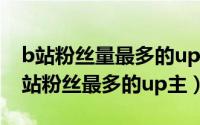 b站粉丝量最多的up主（2024年06月17日b站粉丝最多的up主）