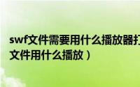 swf文件需要用什么播放器打开电脑（2024年06月17日swf文件用什么播放）