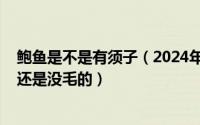 鲍鱼是不是有须子（2024年06月18日请问鲍鱼有毛的好吃还是没毛的）