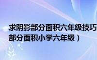 求阴影部分面积六年级技巧 4 8（2024年06月19日求阴影部分面积小学六年级）