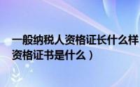 一般纳税人资格证长什么样（2024年06月19日一般纳税人资格证书是什么）