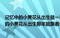 记忆中的小黄花从出生就一直开着（2024年06月19日故事的小黄花从出生那年就飘着什么意思）