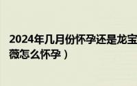 2024年几月份怀孕还是龙宝宝（2024年06月20日奴隶希尔薇怎么怀孕）