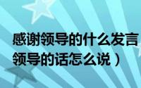 感谢领导的什么发言（2024年06月21日感谢领导的话怎么说）