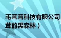 毛茸茸科技有限公司（2024年06月21日毛茸茸的黑森林）