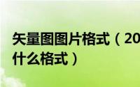 矢量图图片格式（2024年06月21日矢量图是什么格式）