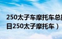 250太子车摩托车总排行榜（2024年06月21日250太子摩托车）