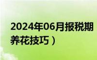 2024年06月报税期（2024年06月22日家庭养花技巧）