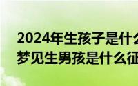 2024年生孩子是什么命（2024年06月23日梦见生男孩是什么征兆）