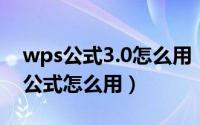 wps公式3.0怎么用（2024年06月23日wps公式怎么用）