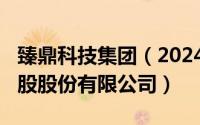 臻鼎科技集团（2024年06月23日臻鼎科技控股股份有限公司）