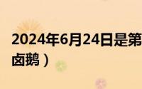 2024年6月24日是第几周（2024年06月24日卤鹅）