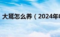 大鵟怎么养（2024年06月24日大薸怎么养）