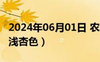 2024年06月01日 农历是（2024年06月26日浅杏色）