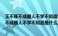 玉不琢不成器人不学不知道对吗（2024年06月26日玉不琢不成器人不学不知道是什么意思）