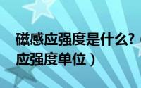 磁感应强度是什么?（2024年06月27日磁感应强度单位）