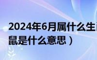 2024年6月属什么生肖（2024年06月27日子鼠是什么意思）