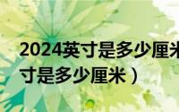 2024英寸是多少厘米（2024年06月28日26寸是多少厘米）