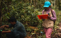 揭秘热带安第斯山脉的生物多样性