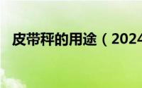 皮带秤的用途（2024年06月29日皮带秤）