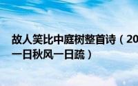 故人笑比中庭树整首诗（2024年06月29日故人笑比中庭树一日秋风一日疏）