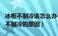 冰柜不制冷该怎么办（2024年06月29日冰柜不制冷的原因）