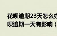 花呗逾期23天怎么办（2024年06月30日花呗逾期一天有影响）