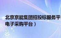 北京京能集团招投标服务平台（2024年06月30日京能集团电子采购平台）