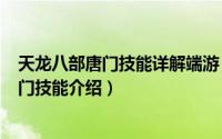 天龙八部唐门技能详解端游（2024年07月02日天龙八部唐门技能介绍）