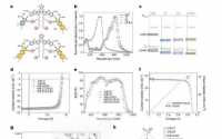 新型非富勒烯受体助力有机太阳能电池实现 20.2% 效率