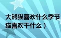 大熊猫喜欢什么季节（2024年07月04日大熊猫喜欢干什么）