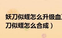 妖刀似蛭怎么升级血刀（2024年07月04日妖刀似蛭怎么合成）