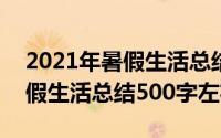 2021年暑假生活总结（2024年07月05日暑假生活总结500字左右）