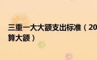 三重一大大额支出标准（2024年07月06日三重一大多少钱算大额）