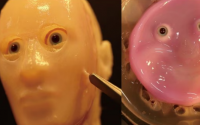 科学家们找到了一种将活体皮肤附着到机器人脸上的方法