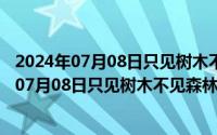 2024年07月08日只见树木不见森林是指什么生肖（2024年07月08日只见树木不见森林是指）