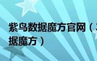 紫鸟数据魔方官网（2024年07月08日紫鸟数据魔方）