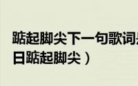 踮起脚尖下一句歌词是什么（2024年07月08日踮起脚尖）