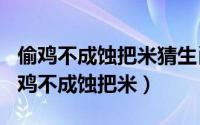 偷鸡不成蚀把米猜生肖（2024年07月09日偷鸡不成蚀把米）