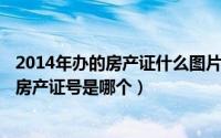 2014年办的房产证什么图片（2024年07月10日房产证上的房产证号是哪个）