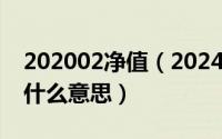 202002净值（2024年07月10日最新净值是什么意思）