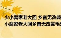 少小离家老大回 乡音无改鬓毛衰歌曲（2024年07月10日少小离家老大回乡音无改鬓毛衰）